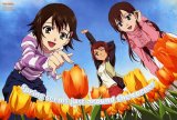 BUY NEW true tears - 168034 Premium Anime Print Poster