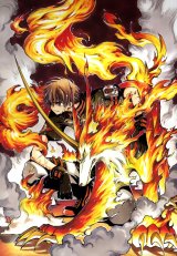 BUY NEW tsubasa reservoir chronicle - 117290 Premium Anime Print Poster