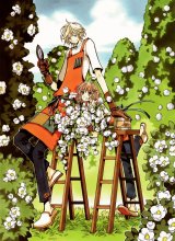 BUY NEW tsubasa reservoir chronicle - 124582 Premium Anime Print Poster