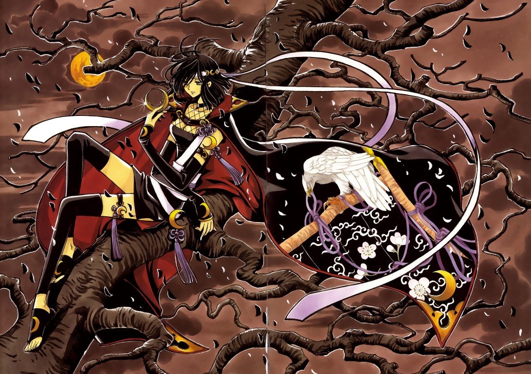 BUY NEW tsubasa reservoir chronicle - 126492 Premium Anime Print Poster tsubasa reservoir chronicle - 127224 image