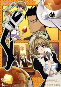 BUY NEW tsubasa reservoir chronicle - 49409 Premium Anime Print Poster