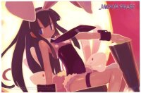 BUY NEW tsukuyomi moon phase - 114320 Premium Anime Print Poster