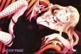 BUY NEW tsukuyomi moon phase - 125588 Premium Anime Print Poster