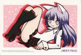 BUY NEW tsukuyomi moon phase - 151900 Premium Anime Print Poster