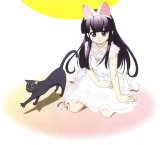BUY NEW tsukuyomi moon phase - 62496 Premium Anime Print Poster