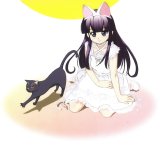 BUY NEW tsukuyomi moon phase - 62496 Premium Anime Print Poster