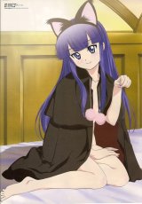 BUY NEW tsukuyomi moon phase - 84687 Premium Anime Print Poster