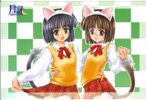 BUY NEW tsukuyomi moon phase - 90960 Premium Anime Print Poster