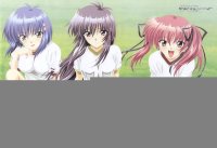 BUY NEW tsuyokiss - 128211 Premium Anime Print Poster