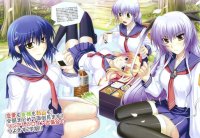 BUY NEW tsuyokiss - 174336 Premium Anime Print Poster