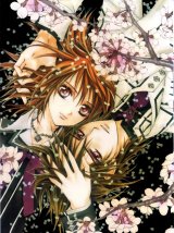 BUY NEW vampire knight - 148309 Premium Anime Print Poster