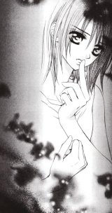 BUY NEW vampire knight - 165447 Premium Anime Print Poster