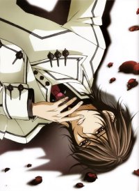 BUY NEW vampire knight - 178211 Premium Anime Print Poster
