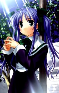 BUY NEW wind a breath of heart - 88939 Premium Anime Print Poster