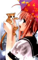 BUY NEW wind a breath of heart - 88941 Premium Anime Print Poster