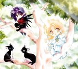 BUY NEW wish - 134771 Premium Anime Print Poster