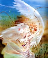 BUY NEW wish - 46370 Premium Anime Print Poster