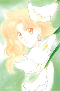 BUY NEW wish - 91336 Premium Anime Print Poster