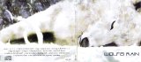 BUY NEW wolfs rain - 103342 Premium Anime Print Poster