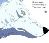 BUY NEW wolfs rain - 195511 Premium Anime Print Poster