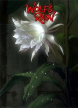 BUY NEW wolfs rain - 2907 Premium Anime Print Poster