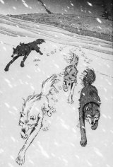 BUY NEW wolfs rain - 30305 Premium Anime Print Poster