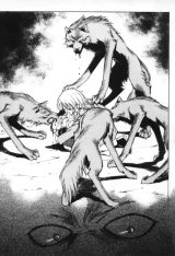 BUY NEW wolfs rain - 30311 Premium Anime Print Poster