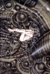 BUY NEW x 1999 - 10157 Premium Anime Print Poster