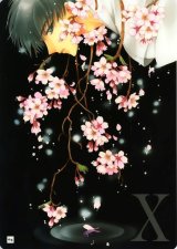 BUY NEW x 1999 - 17457 Premium Anime Print Poster