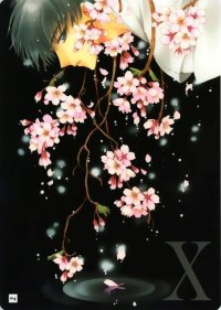 BUY NEW x 1999 - 17457 Premium Anime Print Poster