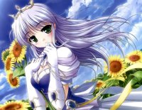 BUY NEW yoake mae yori ruri iro na - 73069 Premium Anime Print Poster
