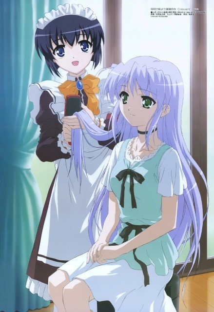BUY NEW yoake mae yori ruri iro na - 89844 Premium Anime Print Poster yoake mae yori ruri iro na - 90258 image