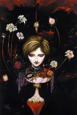 BUY NEW yoshitaka amano - 27368 Premium Anime Print Poster