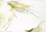 BUY NEW yoshitaka amano - 36216 Premium Anime Print Poster