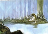 BUY NEW yoshitaka amano - 40446 Premium Anime Print Poster