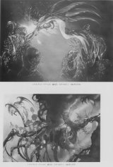 BUY NEW yoshitaka amano - 45170 Premium Anime Print Poster