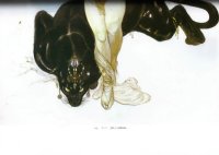 BUY NEW yoshitaka amano - 54457 Premium Anime Print Poster