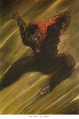 BUY NEW yoshitaka amano - 54566 Premium Anime Print Poster