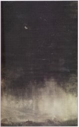 BUY NEW yoshitaka amano - 59617 Premium Anime Print Poster