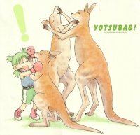 BUY NEW yotsubato - 12616 Premium Anime Print Poster