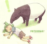 BUY NEW yotsubato - 130100 Premium Anime Print Poster