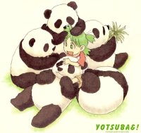 BUY NEW yotsubato - 46847 Premium Anime Print Poster