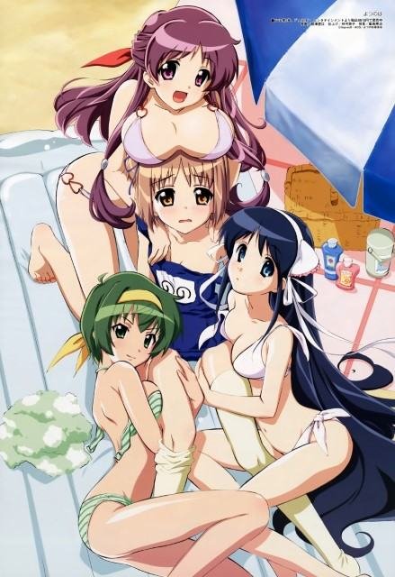 BUY NEW yotsunoha - 180637 Premium Anime Print Poster yotsunoha - 182380 image