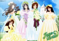 BUY NEW youre under arrest - 82446 Premium Anime Print Poster