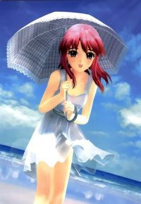 BUY NEW yumeria - 165806 Premium Anime Print Poster