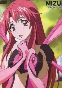 BUY NEW yumeria - 58130 Premium Anime Print Poster