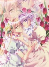BUY NEW yura - 188534 Premium Anime Print Poster
