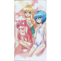 BUY NEW zero no tsukaima - 142303 Premium Anime Print Poster
